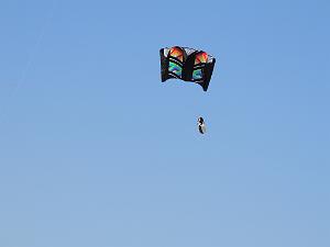 2024 11 02 EN FLANANT SUR SANARY (104)